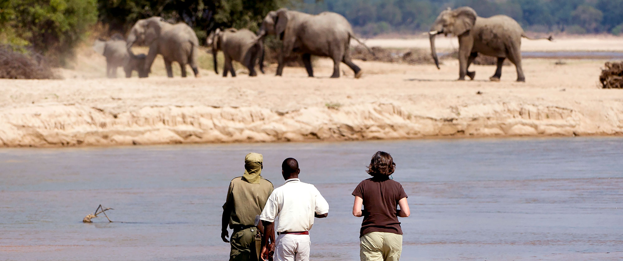 Remote Safari Tour: Zambia Adventure