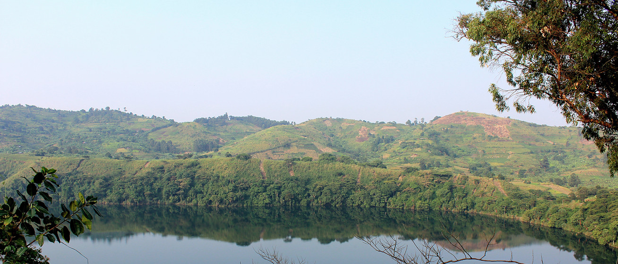 Gorilla Trekking Uganda: Rainforest Adventure - Ndali Lodge