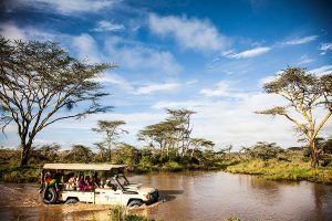 Africa Endeavours - Segera Retreat