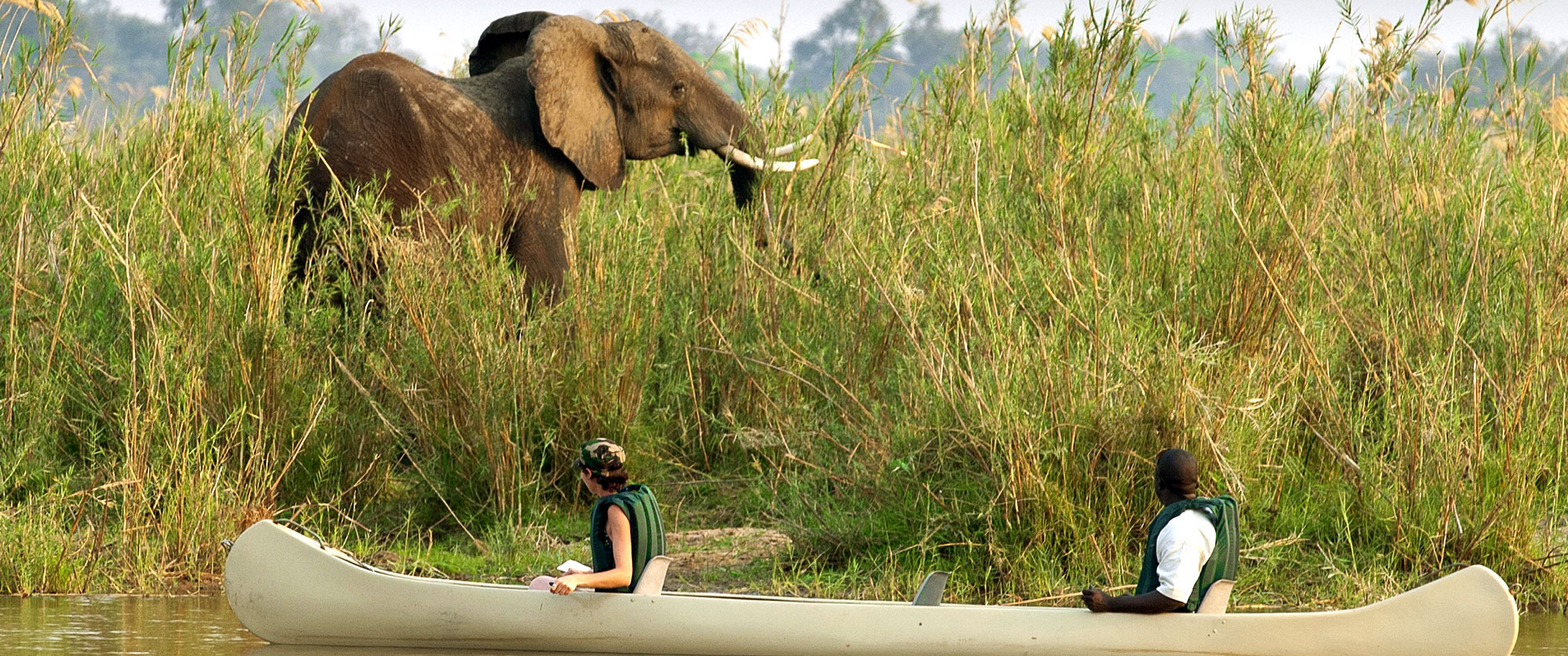 Zambia Safari Adventure - Baines River Camp