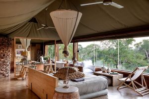 Africa Endeavours - Singita Faru Faru