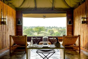 Africa Endeavours - Singita Faru Faru