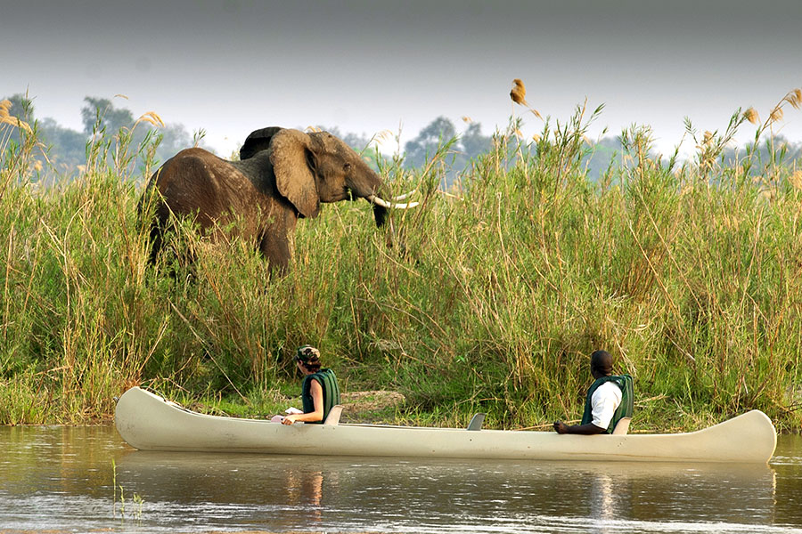 Zambia Safari Adventure - Baines River Camp