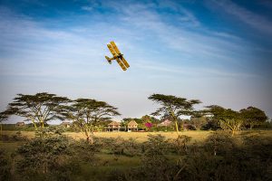Africa Endeavours - Segera Retreat