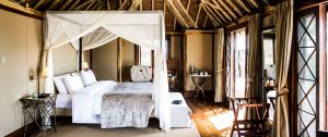 Luxury Kenya Safari - Out of Africa - Segera Retreat