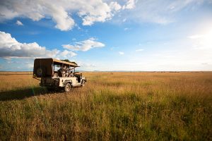 Africa Endeavours - Singita Faru Faru