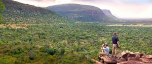 South Africa Luxury Tour - Marataba Trails