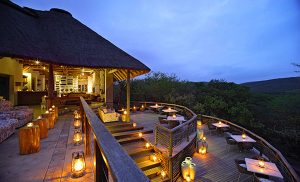 Africa Safari Special Offer - Phinda Mountain Lodge South Africa