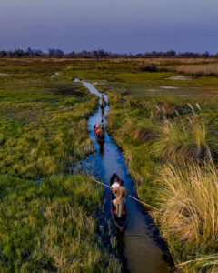 Botswana Safari & Vacation Packages - Custom Luxury Tours