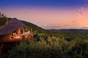 Madikwe Hills Safari Lodge - Best Trips to Africa