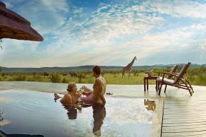 Trip to Africa - Cape Town and Luxury Safari Honeymoon