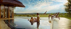 Trip to Africa - Cape Town and Luxury Safari Honeymoon