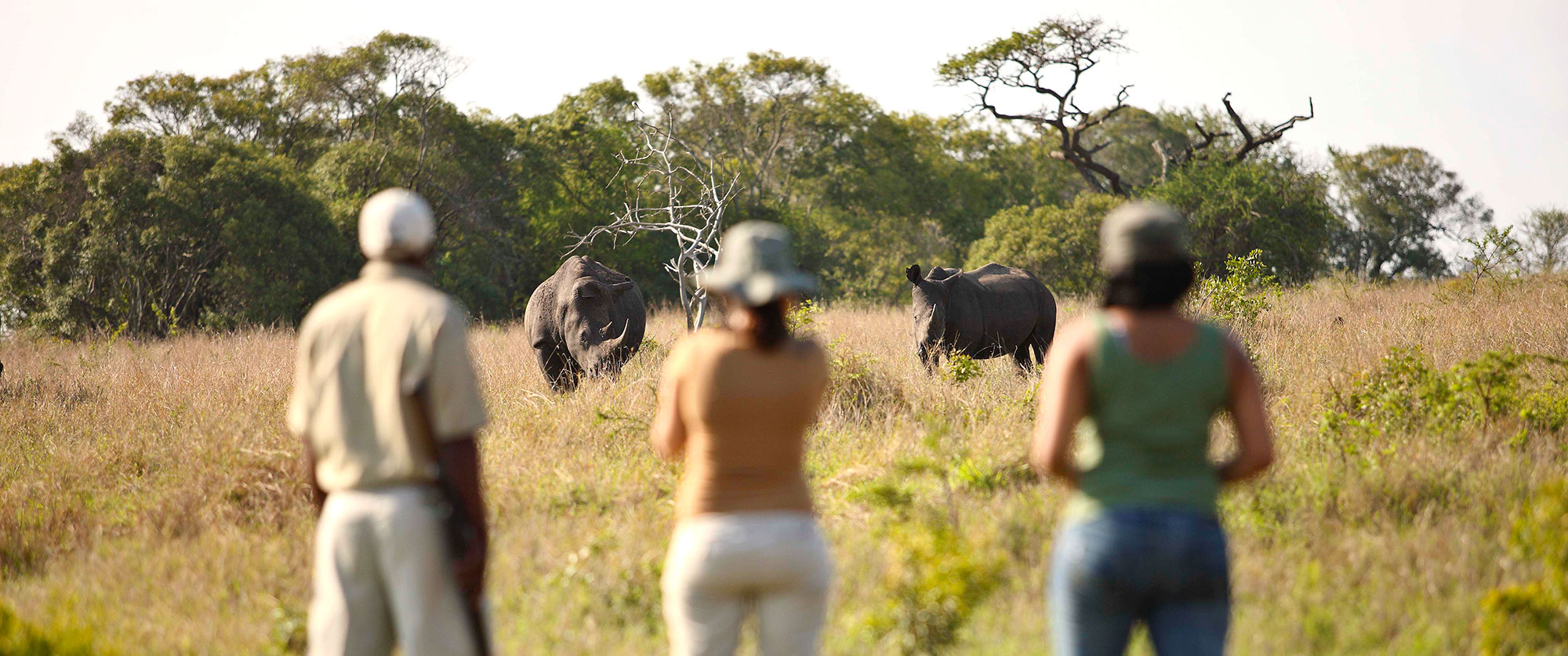 Africa Vacation Packages - African wildlife safari