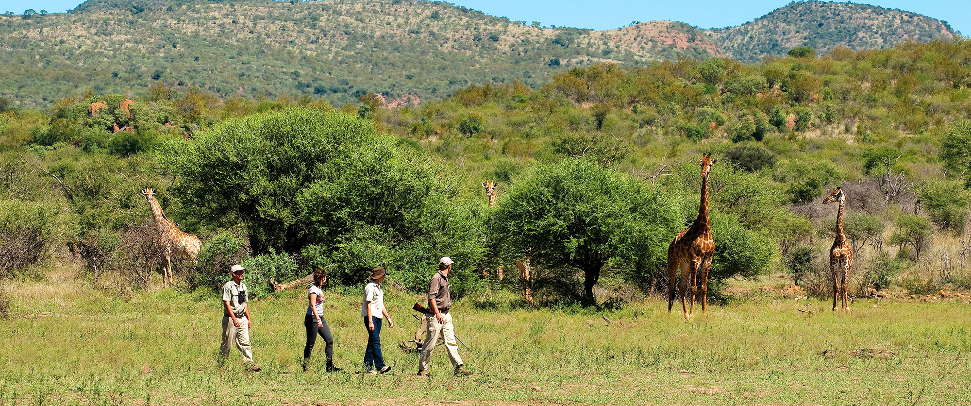 Trip to Africa: Cape Town and Luxury Safari Honeymoon