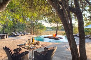 Africa Vacation Packages - Phinda Forest Lodge