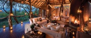 Trip to Africa: Cape Town and Luxury Safari Honeymoon