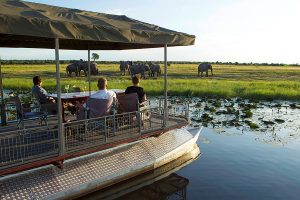Bucket List Botswana Safari: Chobe and Okavango Delta - Elephant Sighting on Chobe River Safari
