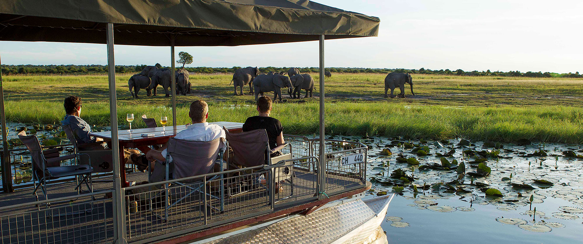 Bucket List Botswana Safari: Chobe and Okavango Delta - Elephant Sighting on Chobe River Safari