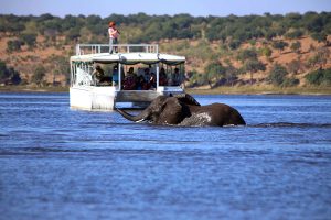 African Widlife Safari: Authentic Okavango Delta Adventure