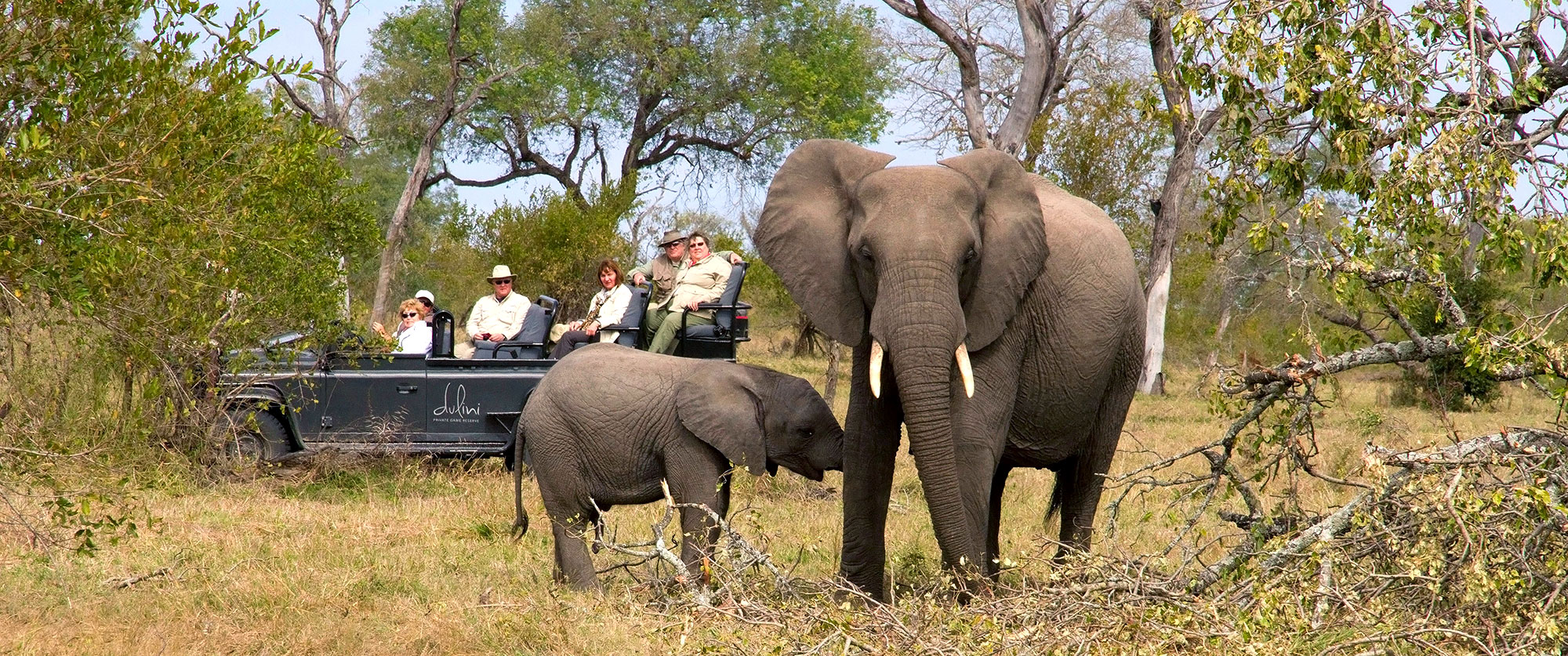 South Africa: Luxury Safari and Cape Town Package - Elephants in Kruger Park, South Africa