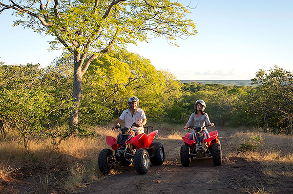 Victoria Falls Safari Adventures