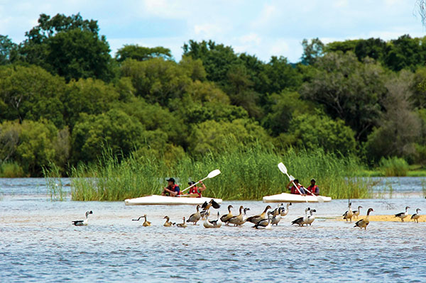 Victoria Falls Safari Adventures