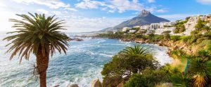 South Africa: Luxury Safari and Cape Town Package - Private Luxury Touring in Cape Town