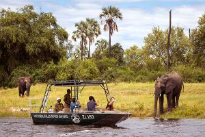 Victoria Falls Safari Adventures