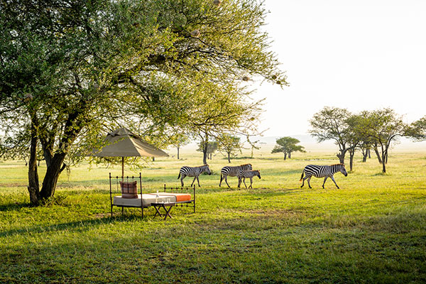 Singita Sabora Tanzania - Best Safari Lodges in Africa - Great Migration