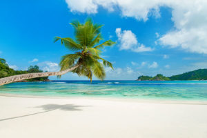 Where to Go in Africa - Best Africa Beaches - Beach on Mahe Island, Seychelles