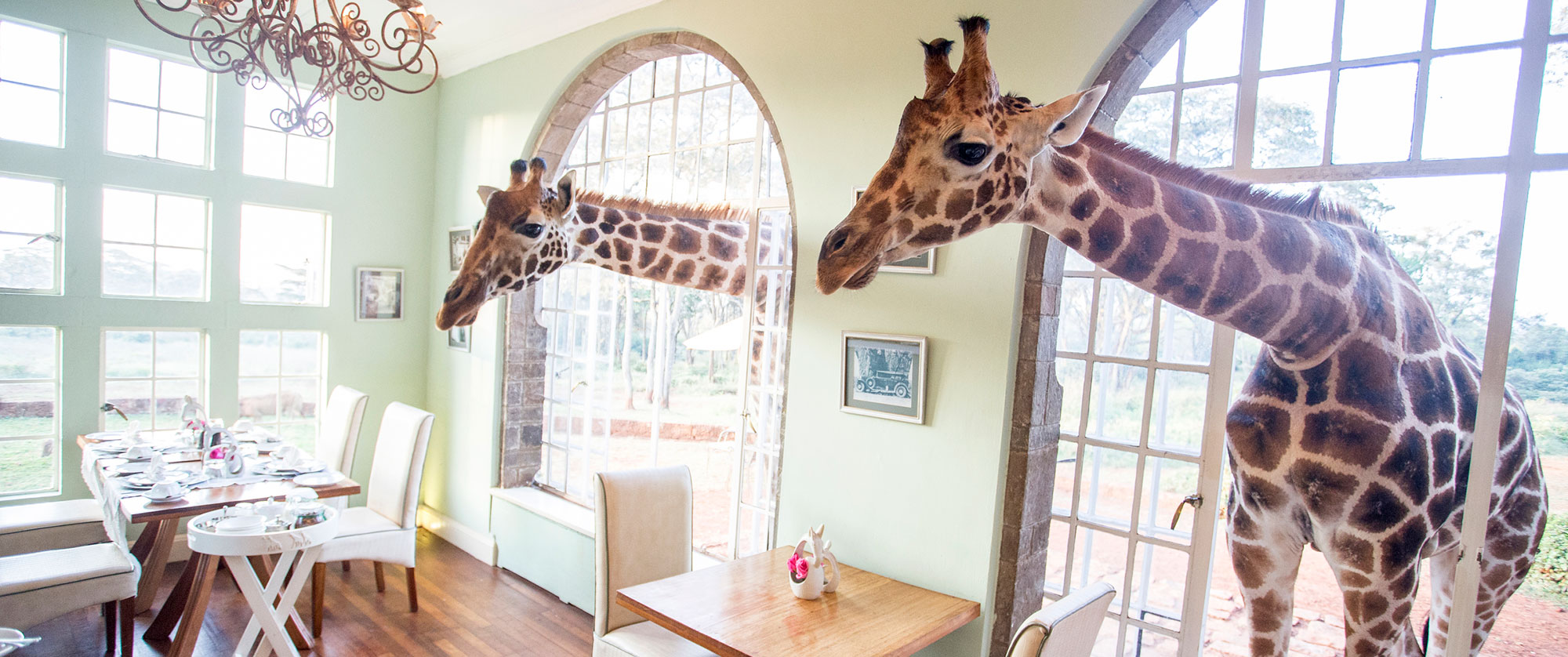 Classic Kenya Luxury Safari Package - Giraffe Manor Kenya