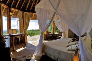 Wildlife Safari in Kenya - Campi ya Kanzi