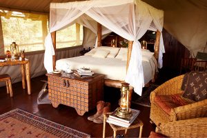 Wildlife Safari in Kenya - Campi ya Kanzi