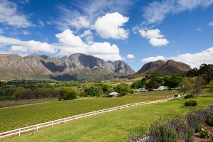 South Africa Cape Winelands Luxury Hotel - Mont Rochelle