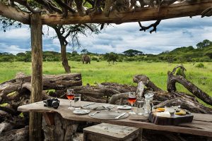 Africa Luxury Safari - ol Donyo Lodge Kenya