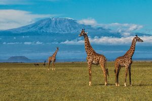Africa Luxury Safari - ol Donyo Lodge Kenya