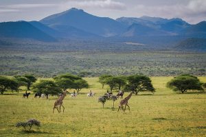 Africa Luxury Safari - ol Donyo Lodge Kenya