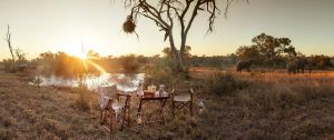 Luxury Safari Kruger National Park - Kings Camp Luxury Safari Lodge in Timbavati