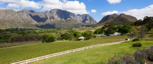 South Africa Safari and Wine Vacation - Mont Rochelle Cape Winelands