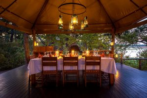 Safari in Africa - Chindeni Bushcamp, Zambia - Ultimate Wildlife Safari, Walking Safaris