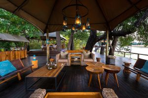 Safari in Africa - Chindeni Bushcamp, Zambia - Ultimate Wildlife Safari, Walking Safaris