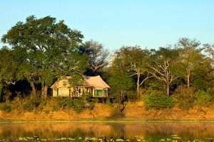 Safari in Africa - Chindeni Bushcamp, Zambia - Ultimate Wildlife Safari, Walking Safaris