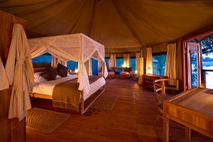Safari in Africa - Chindeni Bushcamp, Zambia - Ultimate Wildlife Safari, Walking Safaris