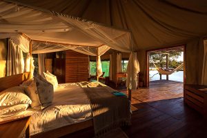 Safari in Africa - Chindeni Bushcamp, Zambia - Ultimate Wildlife Safari, Walking Safaris