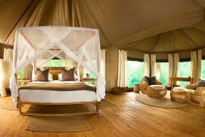 Safari in Africa - Chindeni Bushcamp, Zambia - Ultimate Wildlife Safari, Walking Safaris