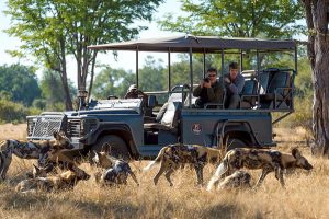 Africa Travel - Africa Safari Camps - Kapamba Bushcamp, Zambia