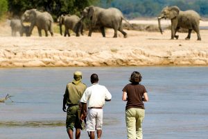 Africa Travel - Africa Safari Camps - Kapamba Bushcamp, Zambia