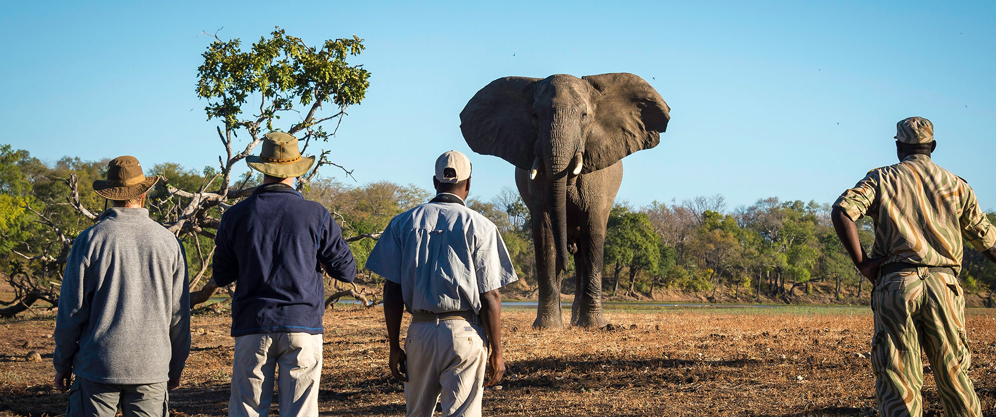 Africa Travel - Africa Safari Camps - Kapamba Bushcamp, Zambia