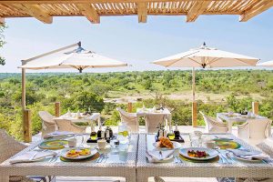 Leopard Hills - 5 Star Safari Lodge in Sabi Sands, Kruger National Park