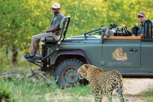 Leopard Hills - 5 Star Safari Lodge in Sabi Sands, Kruger National Park